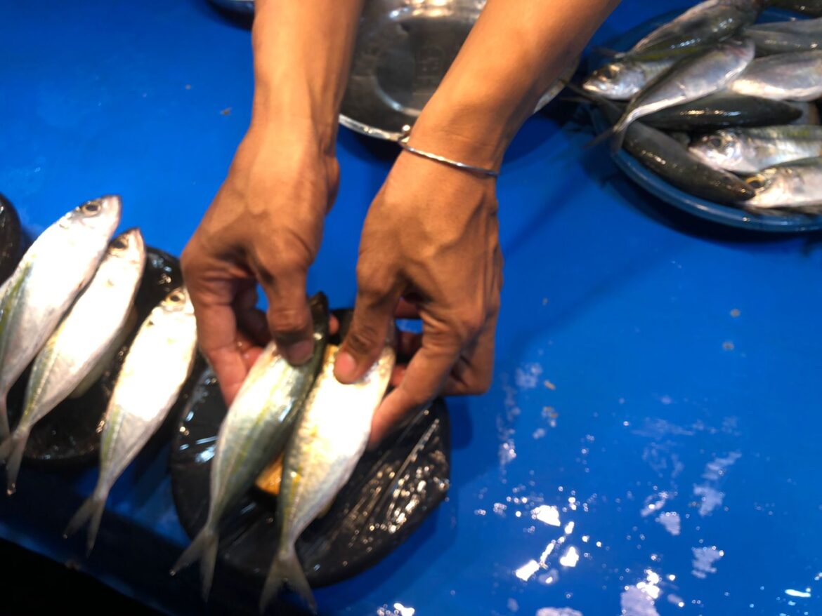 ikan pasar masomba palu